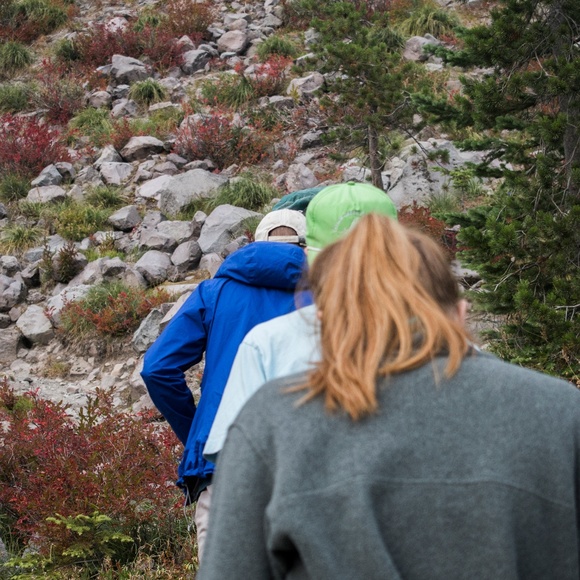 Meet your Posher, Amelia - Picture 6 of 8